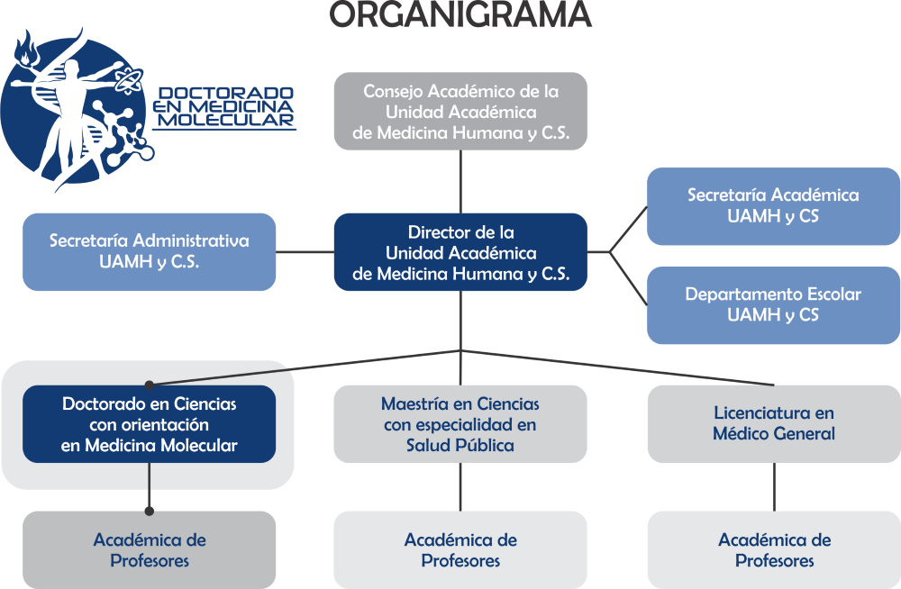 Organigrama